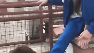 Chinese Femdom Live - 13122019 - 264