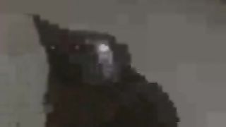 Chinese Femdom Live - 13122019 - 266