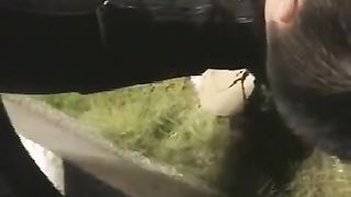 Chinese Femdom Live - 13122019 - 270