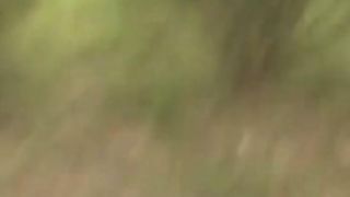 Chinese Femdom Live - 13122019 - 276