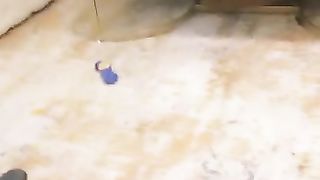 Chinese Femdom Live - 13122019 - 294