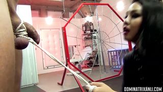 AnLi - Geni Torture Extra Vaganza