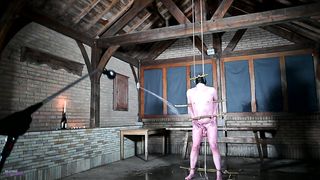 MistressLadyRenee - Predicament Bondaged Up Bitch