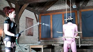 MistressLadyRenee - Predicament Bondaged Up Bitch