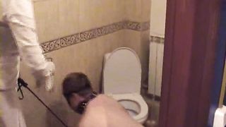 MissKrista - gold piss