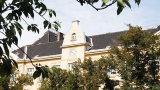 Sting - Lola Prazak - Miss Behavior