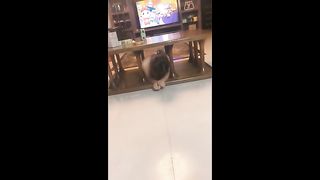 China Lezdom - 1812020 - 188