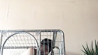 Chinese Femdom Live - 2512020 - 64