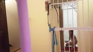 China Lezdom - 1812020 - 235