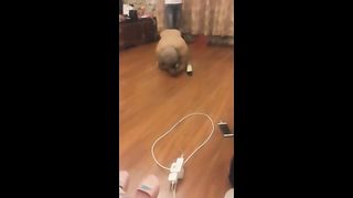 Chinese Femdom Live - 2512020 - 88