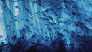 BondageLiberation - The Power of the Box