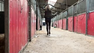 Dressurausbildung des BlackBootys Vol.2