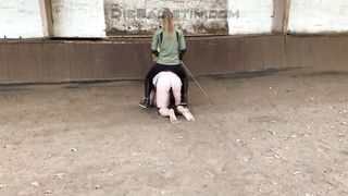 Dressurausbildung des BlackBootys Vol.2