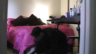 GoddessesFootboy - Bella Caught Sniffing