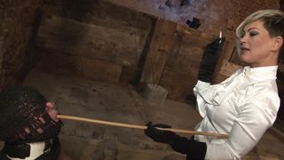 FemdomBeauties - Miss Cheyenne - Whos The Boss Now! Hijacked & Humiliated