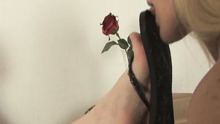 ClairesSlaves - dia1106269