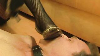 Sadistic-Girls - Julia FW31