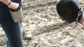 Femdom-Berlin - 20060506_hundeabrichtung