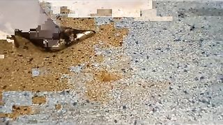 Femdom-Berlin - 20061028_rasiert_femdom