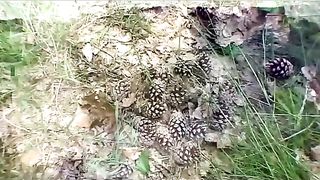 Femdom-Berlin - der_hochstand_part2