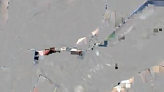 Femdom-Berlin - dog_or_pig_fem