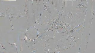 Femdom-Berlin - dog_or_pig_fem