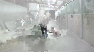 Femdom-Berlin - lady_dunjas_hundedressur