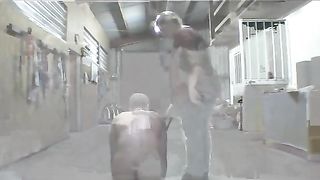 Femdom-Berlin - lady_dunjas_hundedressur