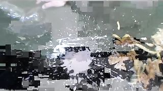 Femdom-Berlin - miss_diana_und_ihr_schwein