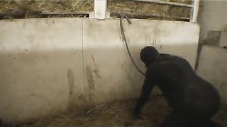 Femdom-Berlin - rubberhorse_part1