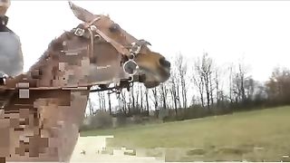 Femdom-Berlin - rubberhorse_part2