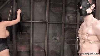 MenInPain - Shy Love, Nomad (4205)