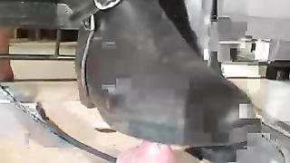 Facesitting-Queen - cock box human cushion