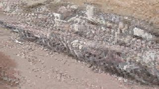 Facesitting-Queen - doggy pain jeans