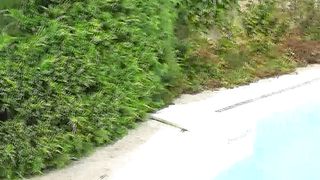 Facesitting-Queen - drown game pool