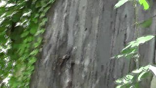 Facesitting-Queen - love blue jeans