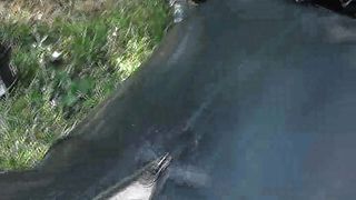 Facesitting-Queen - nail urethra rubber slave