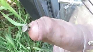 Facesitting-Queen - nail urethra rubber slave