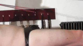 Facesitting-Queen - riding pants