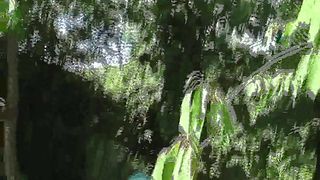 Facesitting-Queen - supreme handjob