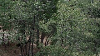 071812 - Violated by strapon