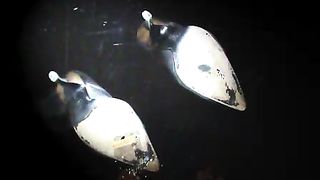 092 Jessica Max Public