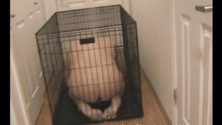 A Date With My Boyfriend