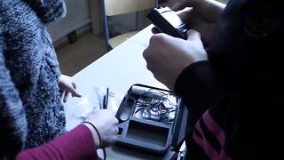 Das Versuchskaninchen (Guinea Pig)