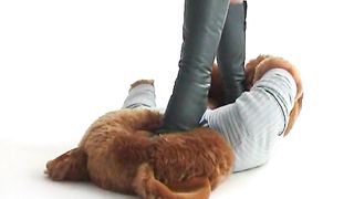 0460 Jessicas Teddy Trample