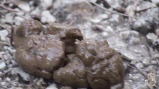 pos_110811_paquet_francaise_10_lollita_in_mallorca