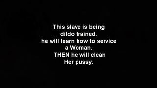 worship my pussy (2007)