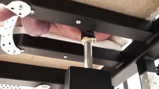 Kates-Palace - Die Abrechnung