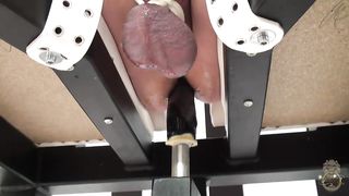 Kates-Palace - Die Abrechnung