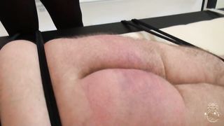 Kates-Palace - Der blossgestellte Exhibitionist 02